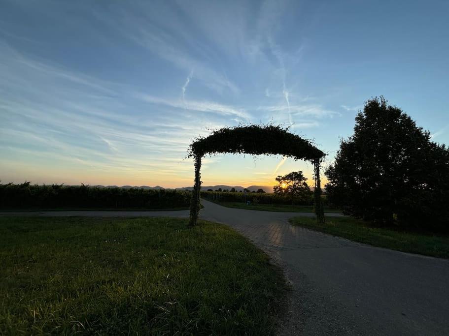 Ferienwohnung In Der Suedpfalz Zeiskam Zewnętrze zdjęcie